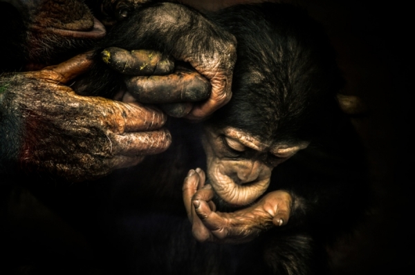 Photograph Luis Otavio Machado Family Business on One Eyeland
